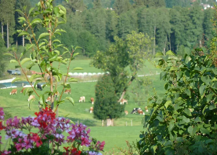 Hoernle *