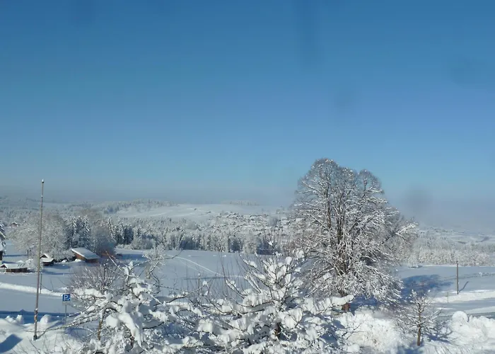 Lägenhet Hoernle *